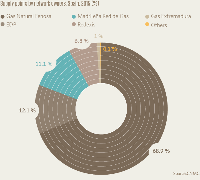 Supply points by network owners, Spain, 2015 (%)